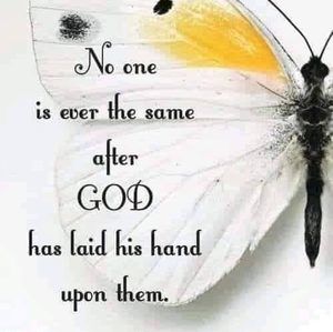 Meet your Posher, Jannette